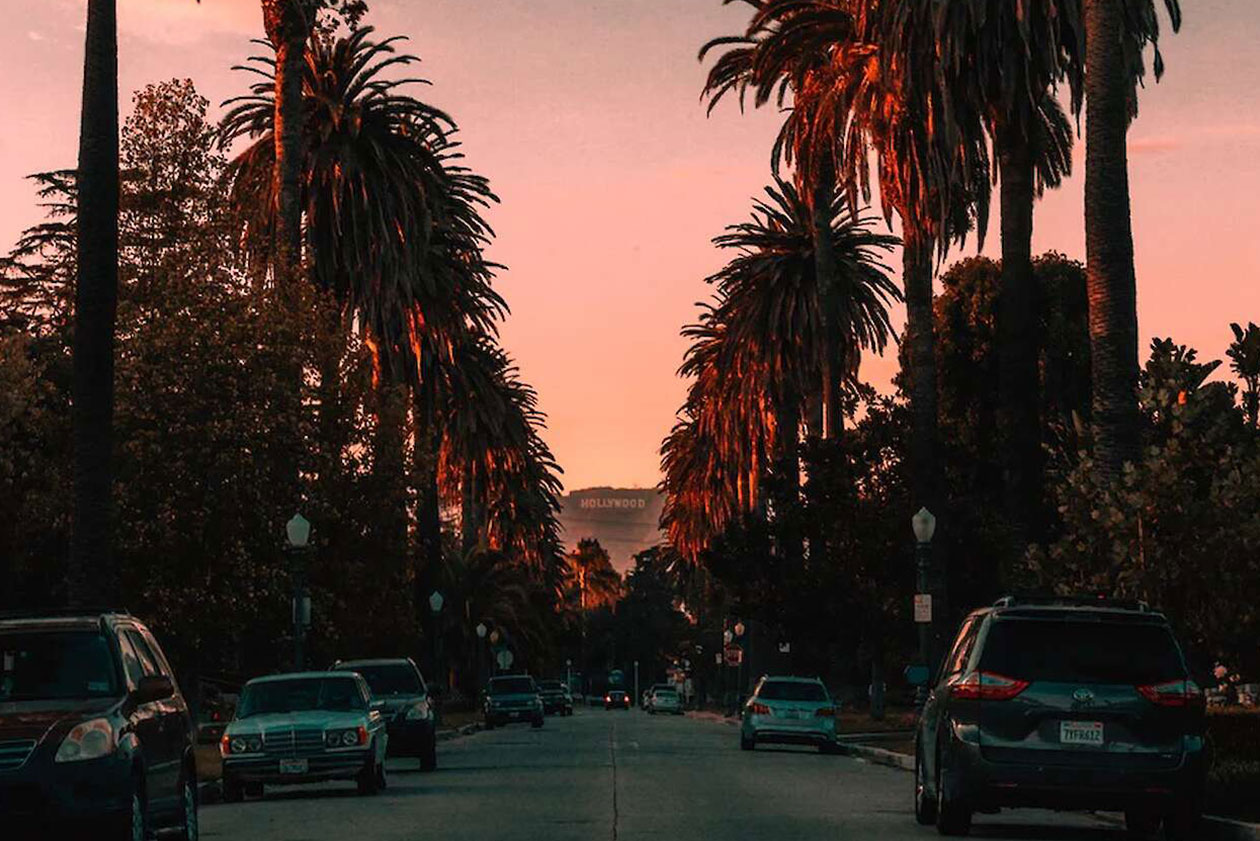 Kalifornische Palmen im Sonnenuntergang